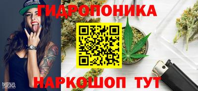 Альфа ПВП Новодвинск
