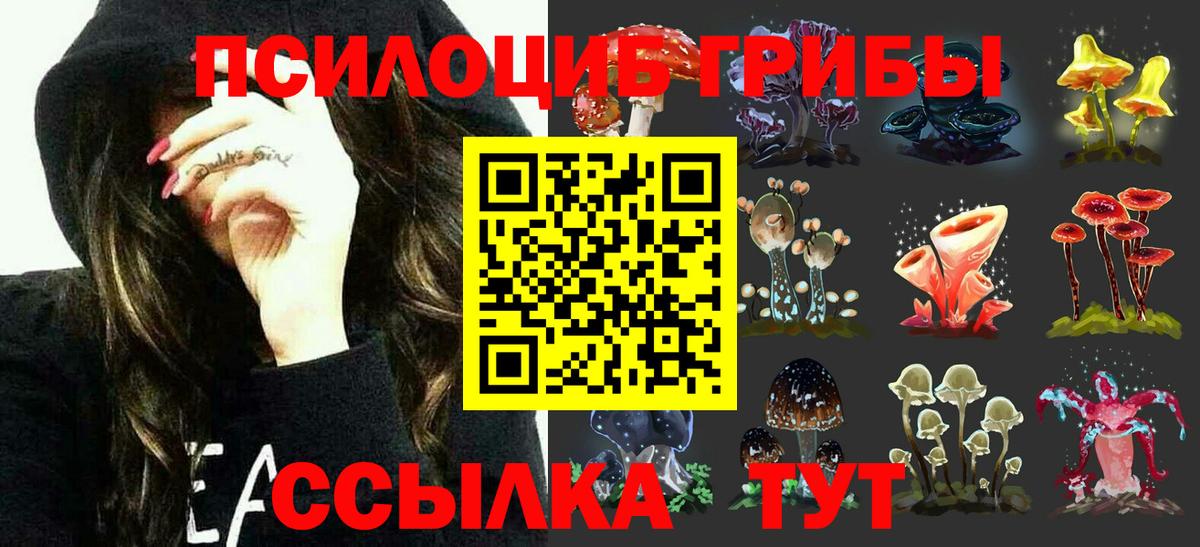 Топки  Галлюциногенные грибы прущие грибы  Псилоцибиновые грибы MAGIC MUSHROOMS  Вход с VPN 